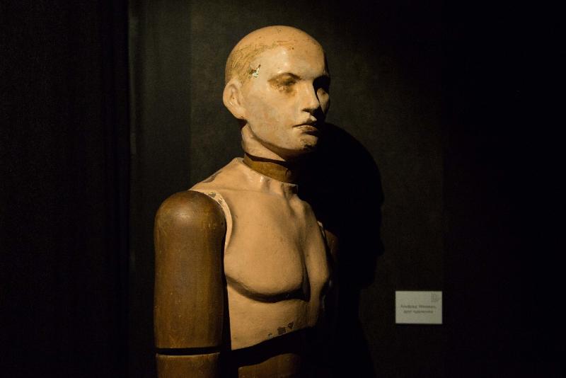 Выставка художника Моисея Фейгина