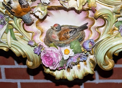 Гнездо птичек коноплянок в нижней части