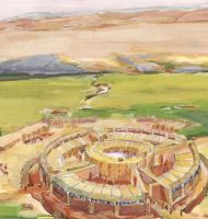 Поселение Аркаим. Общий вид.